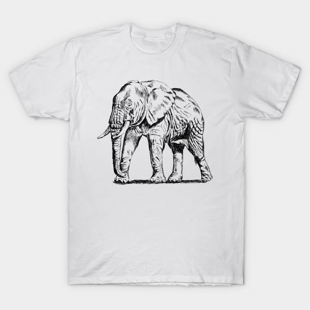 Elephant print t shirt clearance